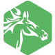 Web Sitem